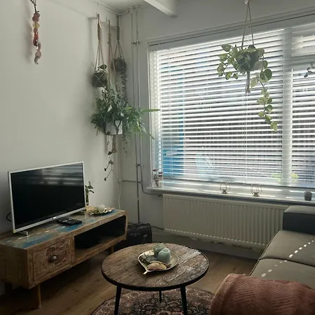 Tiny Beachhouse Noordwijk