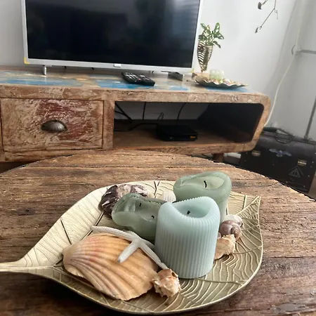 Apartman Tiny Beachhouse Noordwijk