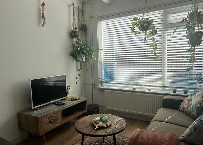 Tiny Beachhouse نوردفيك